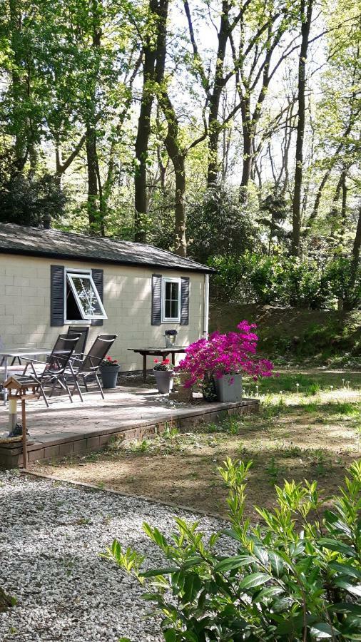 Villa Chalet GEM à Wageningue Extérieur photo